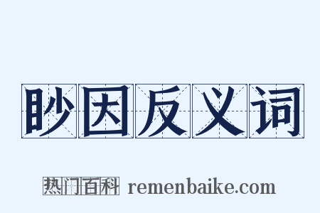 眇因反义词是什么意思的图片